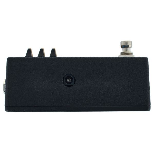 Walrus Audio Fundamental Ambient Reverb