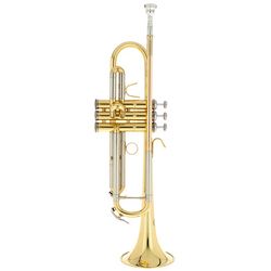 Bb Trumpets
