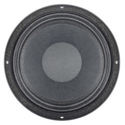 Loudspeaker 10 Inch